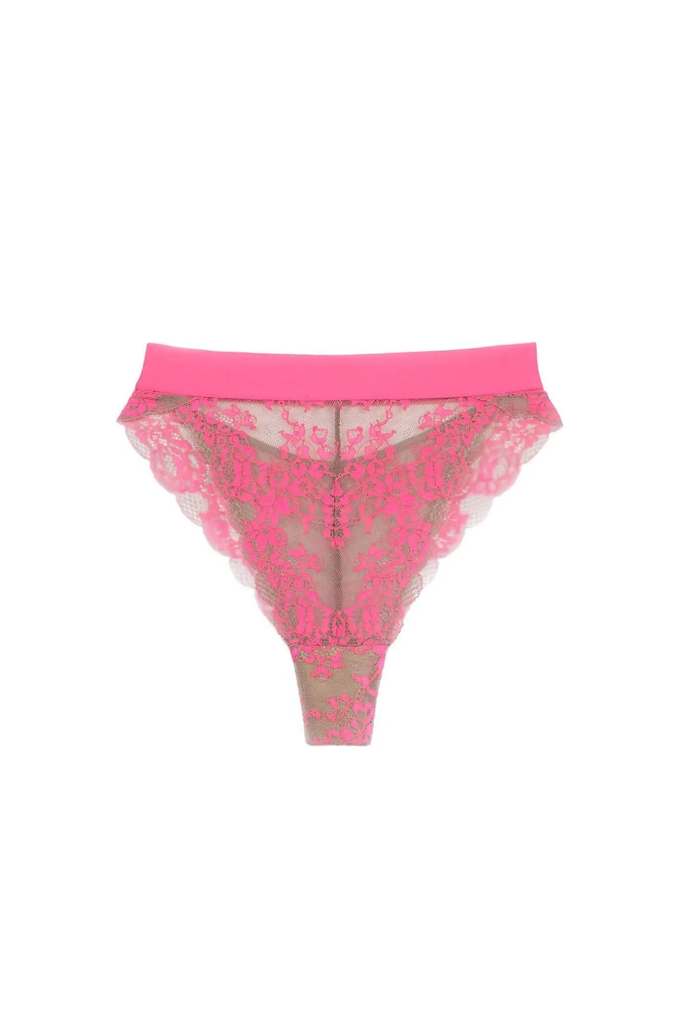 Pink Wild Lace Hi Leg Panty