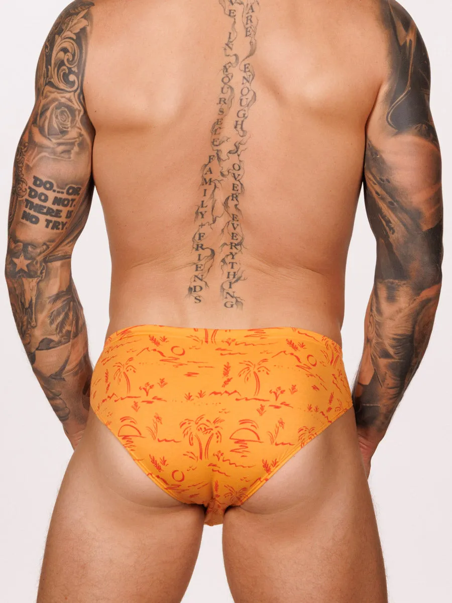 Romeo Brief 3 Pack